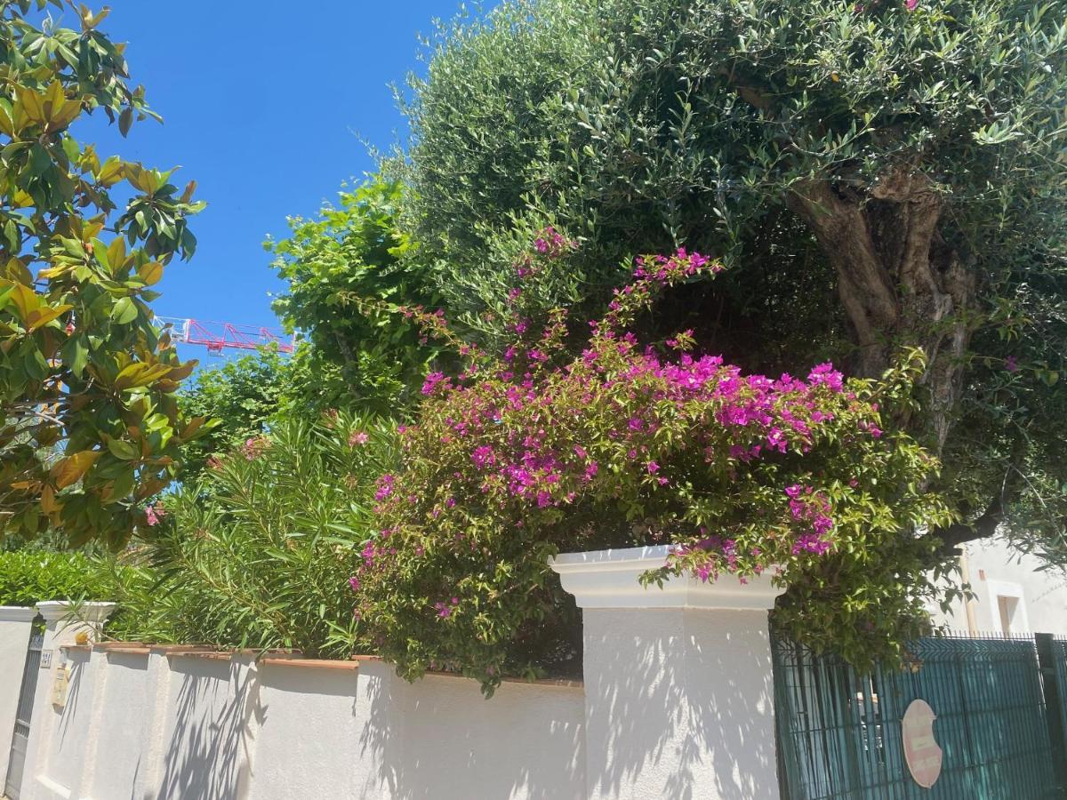 Arche De Portissol Sanary Appartement De Charme 4 A 6 Personnes Exterior foto
